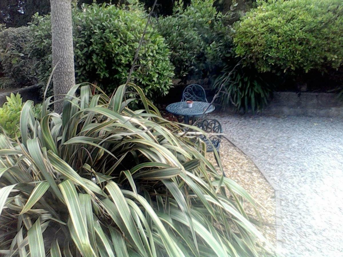 تشارلزتاون Baytree B&B المظهر الخارجي الصورة